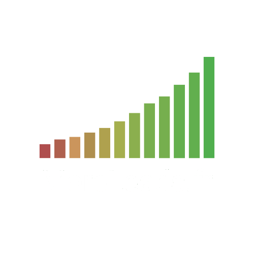 More Leads Marketing - Agence SEO et SEA augmente vos ventes durablement